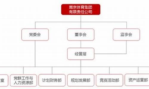 集团体育赛事组织实施管理办法_体育赛事组织管理案例